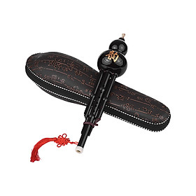 Chinese Traditional Instrument Hulusi Cucurbit Flute Bottle Gourd Silk C-Key Resin Material with Chinese Knot Carry Case