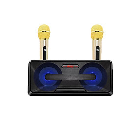 Loa Karaoke SDRD SD-301 kèm 2 mic không dây (giao màu ngẫu nhiên) - Hàng nhập khẩu