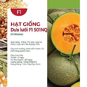Hạt Giống Dưa Lưới F1 501NQ (10 hạt)