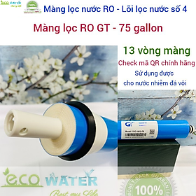 Mua Lõi lọc nước ro   màng lọc nước ro   lõi lọc nước số 4 - GT75