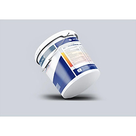 Mua Sơn chống rỉ HTS Paint (XH – Primerseal P001) Thùng 18 lít