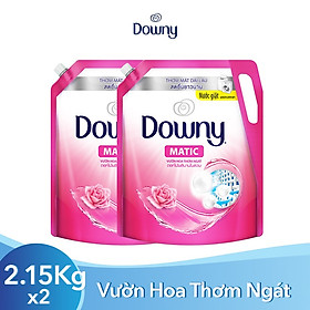 Combo 2 Túi Nước Giặt Downy Vườn Hoa Thơm Ngát Dạng Túi 2.15KG