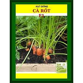 Mua Hạt Giống Cà Rốt Baby  Thịt Củ Chắc 20 Gram
