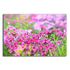Tranh Trang Trí Nghệ Thuật HH0065