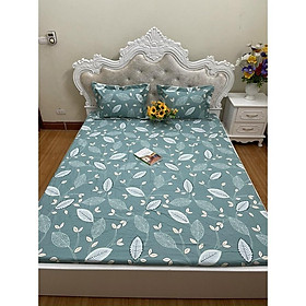 Bộ ga chun trơn và 2 vỏ gối 100% cotton hàn các kích thước