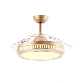 Mua Quạt trần đèn trang trí MS 6140