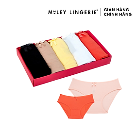 Hình ảnh Combo 5 Quần Lót Nữ Modern Brief Miley Lingerie BC041 - Màu Ngẫu Nhiên