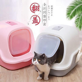 Nhà vệ sinh cho mèo