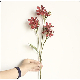 Hoa lụa - Cành hoa quỳ thiên trúc cao 57cm dùng trong decor trang trí không gian sống trang nhã nhẹ nhàng