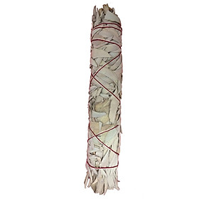 Lá xô thơm (white sage hay sage trắng)