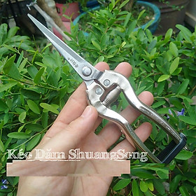 Kéo cắt cành nhánh hái trái SHANGHAI SONG  LV101