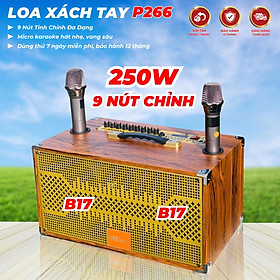 Mua Loa Karaoke Mini MT P266 Bass đôi 17 Công Suất 250w Kết Nối Bluetooth  Hát Cực Hay Kèm 2 Micro Không Dây Hút Tiếng Hát Nhẹ Bảo  Hàng Nhập Khẩu