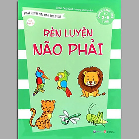 [Download Sách] Rèn luyện não phải - Phát triển đại não thiên tài