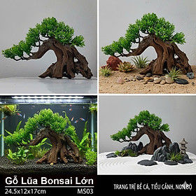 Gỗ Lũa Bonsai Lớn 24.5x12x17cm Trang Trí Bể Cá, Tiểu Cảnh, Non Bộ MS03