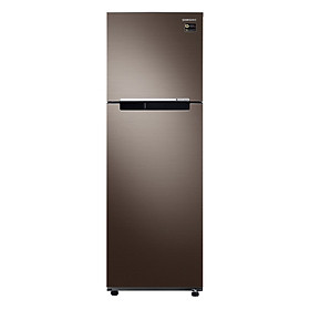 Mua Tủ Lạnh Inverter Samsung RT25M4032DX/SV (256L) - Hàng chính hãng