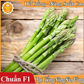 Mua Hạt giống Măng Tây Xanh ( Gói 20 Hạt ) - Nông Sản Vàng