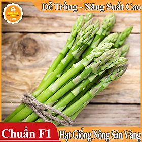 Hạt giống Măng Tây Xanh ( Gói 20 Hạt ) - Nông Sản Vàng