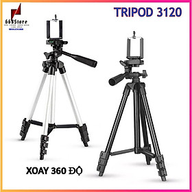 Mua Gậy chụp ảnh 3 chân  Tripod 3120  chụp ảnh chuyên nghiệp cùng điện thoại