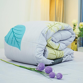 Mua Chăn hè Microfiber Xám Nhạt Everon Lite ELM205 200 x 220cm