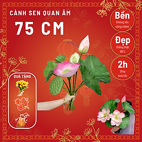Hoa lụa – Hoa sen Quan Âm – Cây giả decor trang trí Tết – Cành dài 75 cm – Hàng cao cấp loại 1