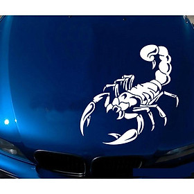 Tem Decal Bò Cạp Dán Trang Trí Xe ô Tô MS-102