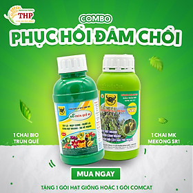 MUA 1 TẶNG 1 COMBO PHỤC HỒI CÂY_ĐÂM CHỒI CHUYÊN SẦU RIÊNG GĐ CHỒI LÁ COMBO