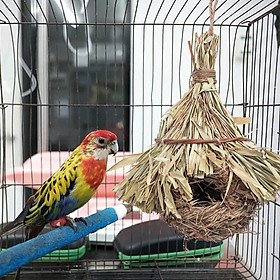 Hanging Bird Nest Cozy Handmade Straw Bird Nest for Finch Canary Hummingbird