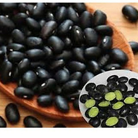 Mua 1kg hạt đậu đen xanh lòng