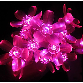 Mua Dây Đèn Led  Hoa Đào - Đèn Hồng Không Chớp