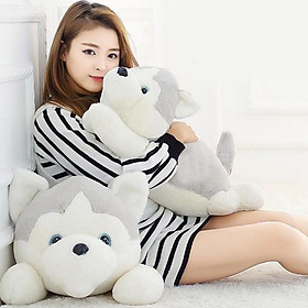 GẤU BÔNG CHÓ HUSKY TINH NGHỊCH 35CM-- 70CM