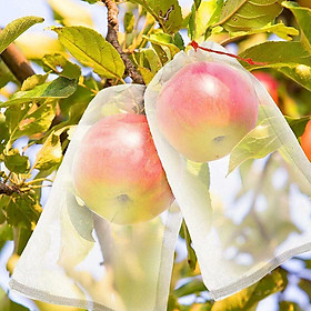 Túi bảo vệ 1 máy tính Bảo vệ trái cây và rau quả GRAPE Túi bảo vệ Túi chống côn trùng Cây ăn trái cây có thể tái sử dụng - 20x30cm