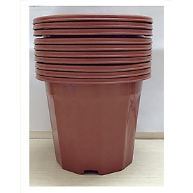 10 Chậu Nhựa Trồng Hoa, Cây Cảnh E230 CN