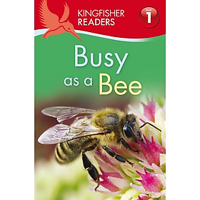 Kingfisher Readers Level 1: Busy As A Bee