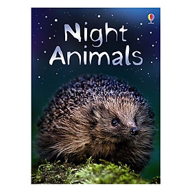 Usborne Night Animals