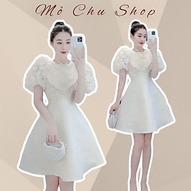 Đầm xòe dự tiệc ren hoa nổi phối cổ bèo