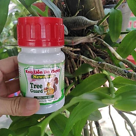 Keo Liền Da cây Tree Guard - Hũ 100gr