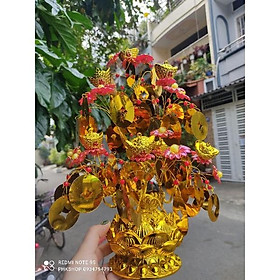 Cây cành vàng lá ngọc đế Sen cao cấp 40cm thành phẩm phk shop