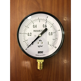 Dụng cụ đo áp suất P110-100A - dãy đo Mpa / Kgf/cm2
