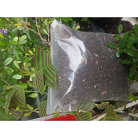 Mua Phân dơi hoai mục nguyên chất 500gram