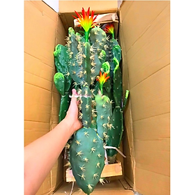 Mua Xương rồng giả trang trí  decor nhà hàng văn phòng  làm tiểu cảnh