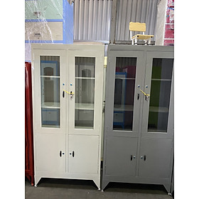 Mua Tủ hồ sơ kiếng sơn dầu NTLG