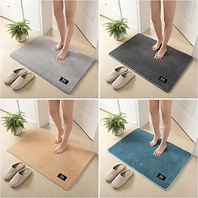 Thảm chùi chân mềm mịn thấm hút tốt - Thảm lau chân, thảm trải sàn thảm nhà tắm Hàn Quốc kích thước 40x60cm Tranh