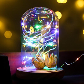 Đèn LED sợi đom đóm Decor siêu đẹp - Trang trí tranh vải, nhà cửa