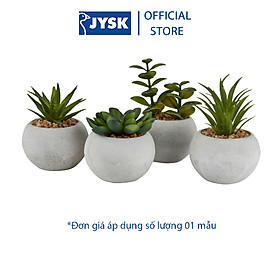 Mua Cây hoa trang trí | JYSK Bror | xi măng/nhựa | xanh/xám | DK7xC9cm
