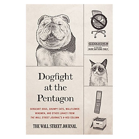 Dogfight at the Pentagon