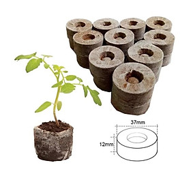 20 Viên nén xơ dừa - viên nén ươm hạt giống - viên nén trồng cây thủy canh