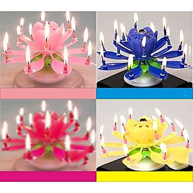Mua Nến 3D nở hoa phát nhạc