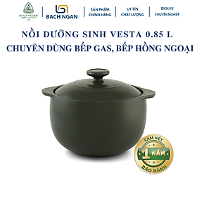 Mua Nồi Sứ Dưỡng Sinh Minh Long Vesta 0.85 L dùng Bếp Ga  Hồng Ngoại có nắp đậy  tráng men màu sứ xanh rêu  có thể kho cá  hầm cháo - nồi đất