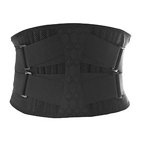 Lower Back Support Belt  Waist  Protect Support Strap M