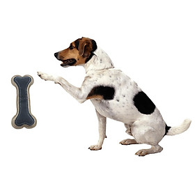 Dog Toys Bone Shape Squeak Toys Durable Pet Dog Puppy Sound Chew Toy Puzzle